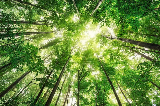 FAIR PLAY FOR PLANET, FONDATION RELAY VERT, MATCH FOR GREEN, REFORM : CES BOITES QUI ACCOMPAGNENT LE MONDE DU SPORT ET DE L’ÉCOLOGIE